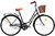 Solifer Klassikko 1-v naisten pyörä musta korilla ruskeat varusteet mustat renkaat